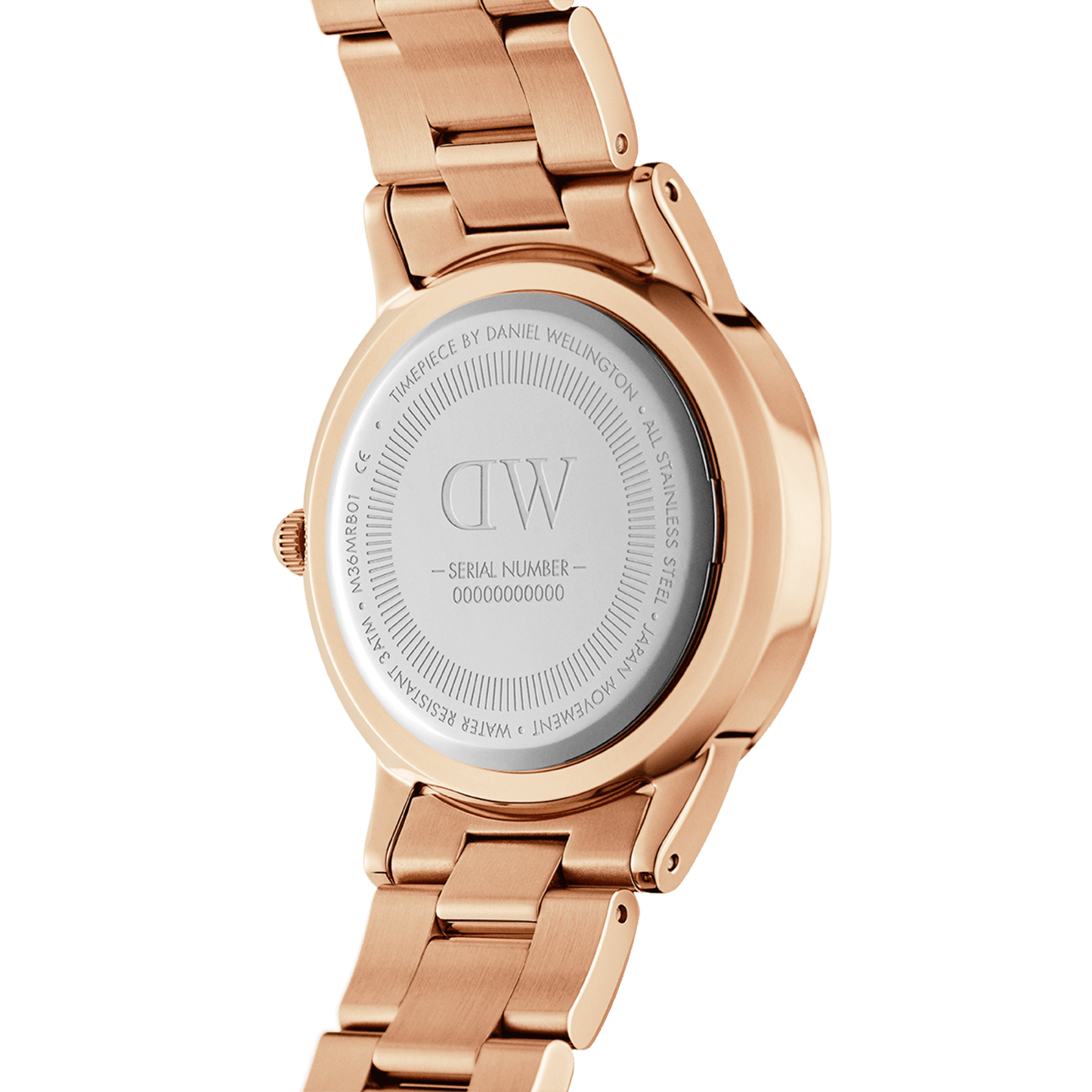 DW Iconic Link Unitone RG Watch