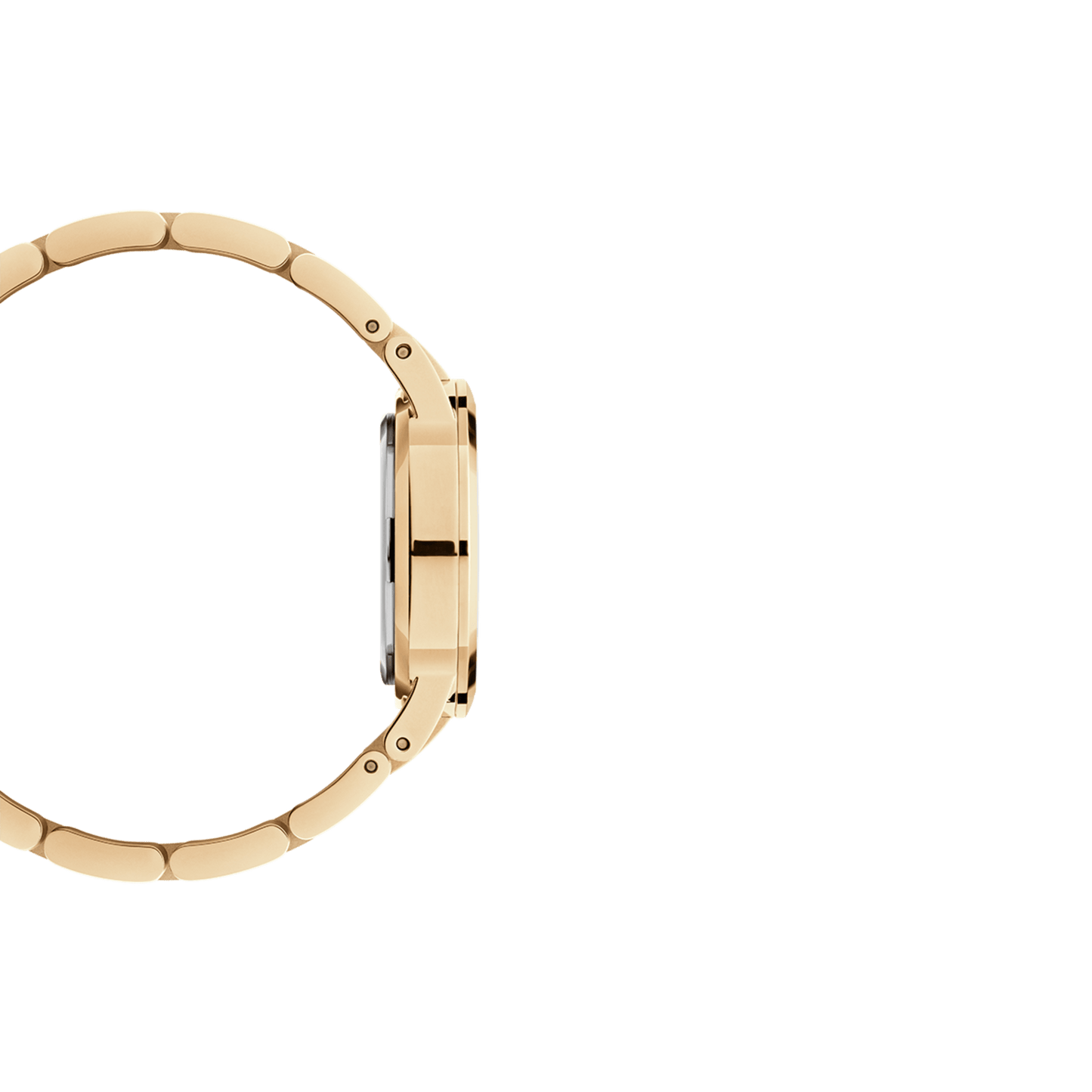 DW Iconic Link Unitone G Watch