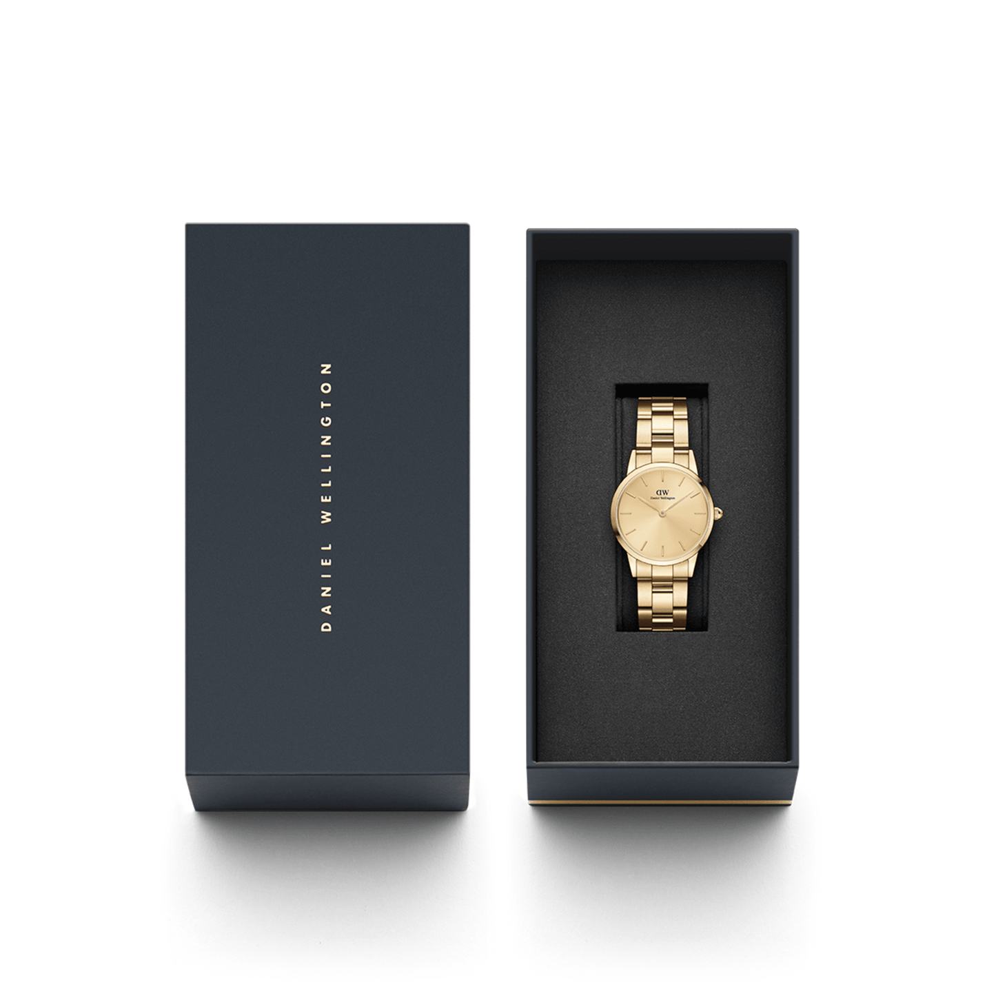 DW Iconic Link Unitone G Watch