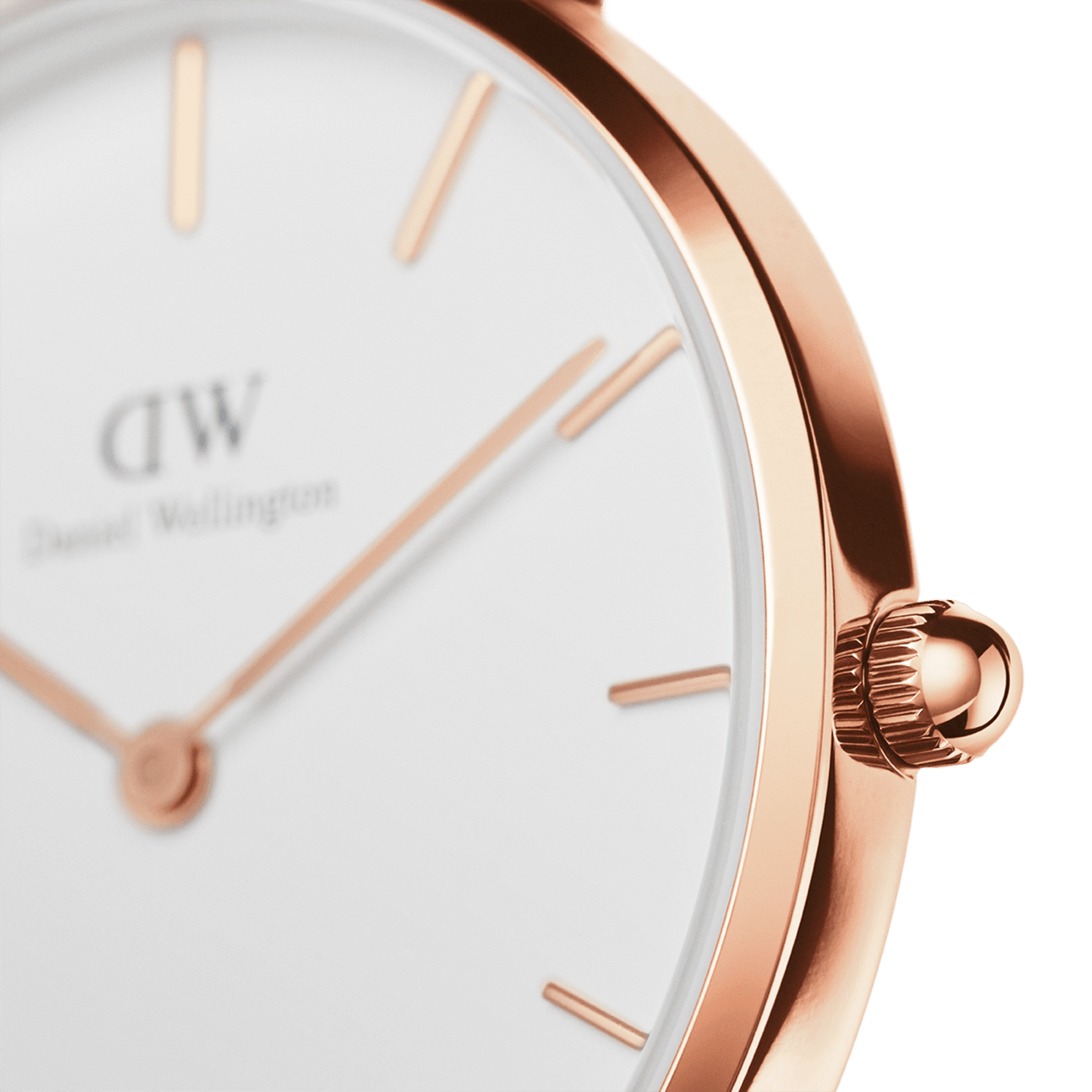 DW Petite Bondi Rose Gold Watch