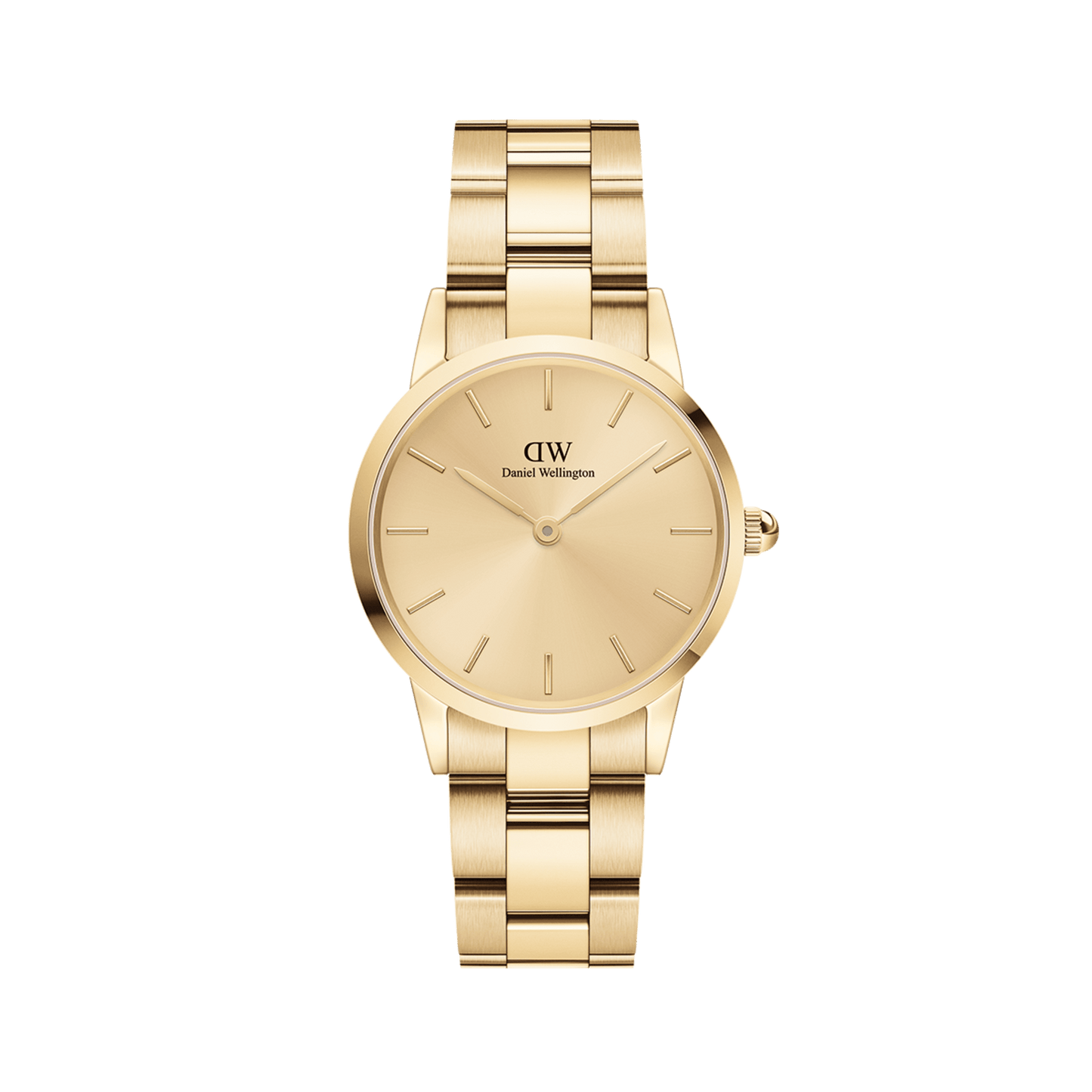 DW Iconic Link Unitone G Watch
